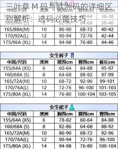 三叶草 M 码与欧洲码的详细区别解析：选码必备技巧